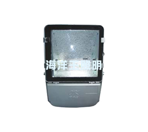 海洋王NFC9140節能型廣場燈_海洋王照明科技股份有限公司